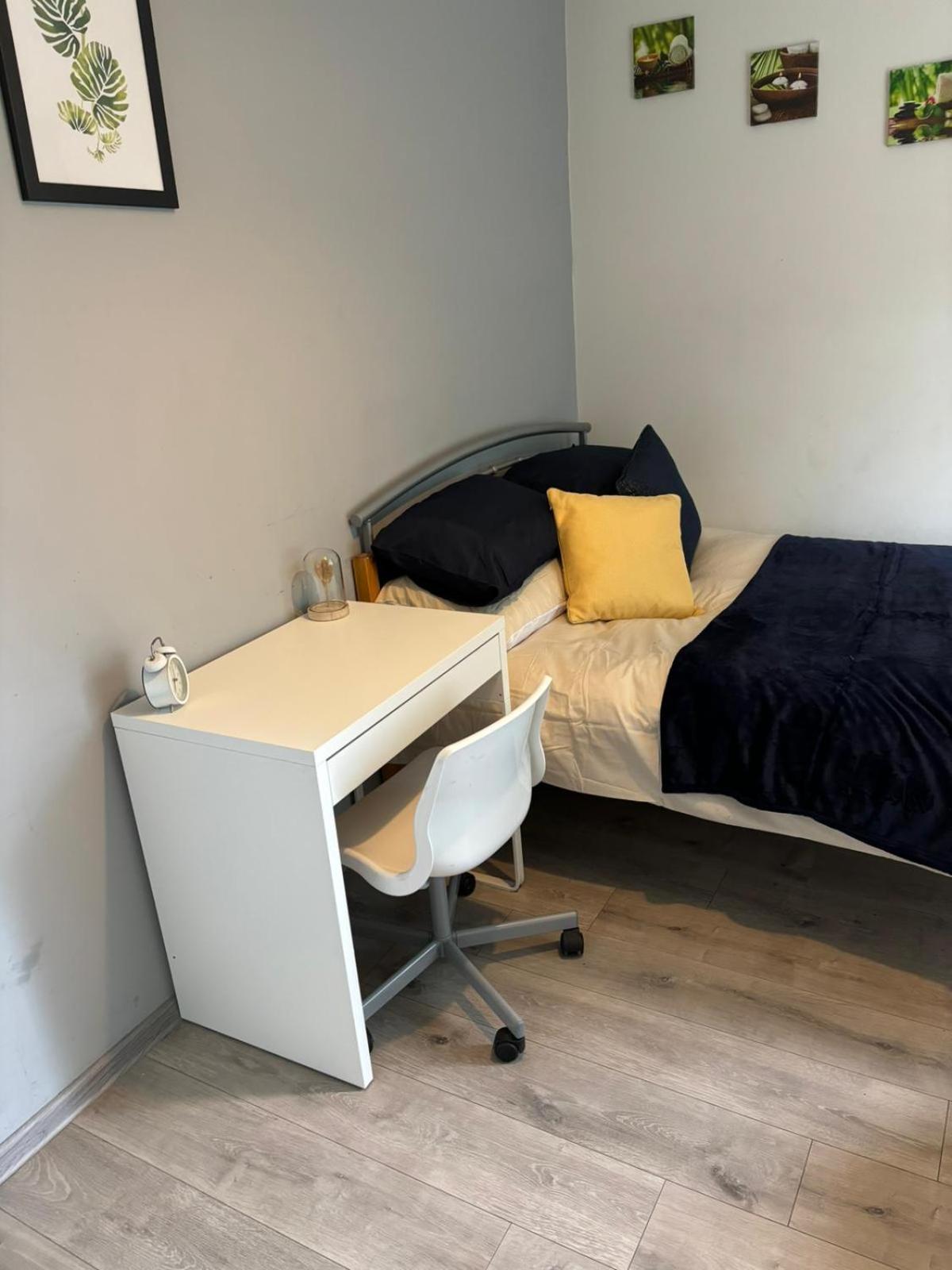 Homestay Stunning Spacious One Bedroom Haven Coventry